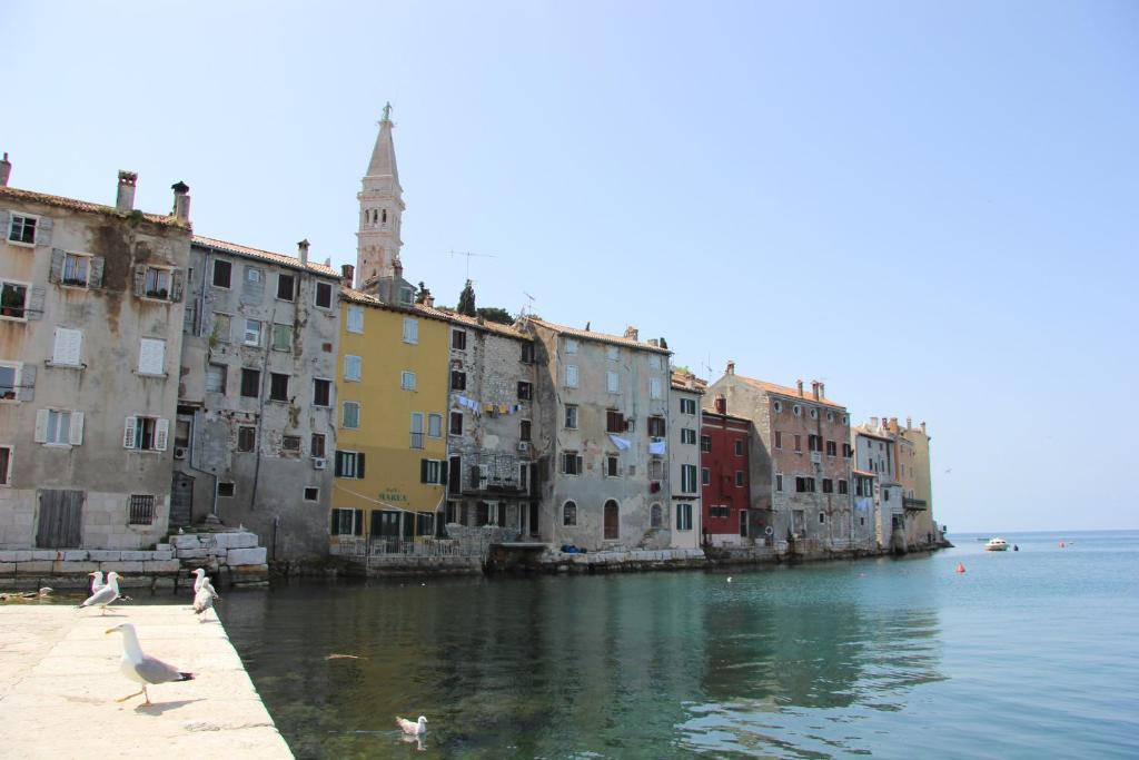 Appartamento Casa Svalba Rovigno Esterno foto